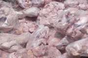 معدوم سازی یک هزار و 520 کیلوگرم گوشت مرغ غیر قابل مصرف در شهرستان فسا